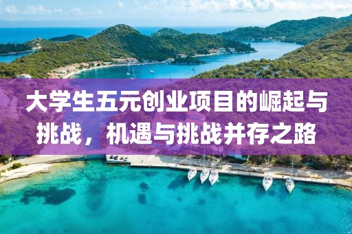 大学生五元创业项目的崛起与挑战，机遇与挑战并存之路