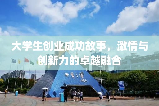 大学生创业成功故事，激情与创新力的卓越融合