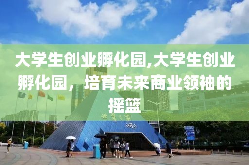 大学生创业孵化园,大学生创业孵化园，培育未来商业领袖的摇篮