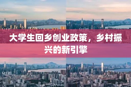 大学生回乡创业政策，乡村振兴的新引擎