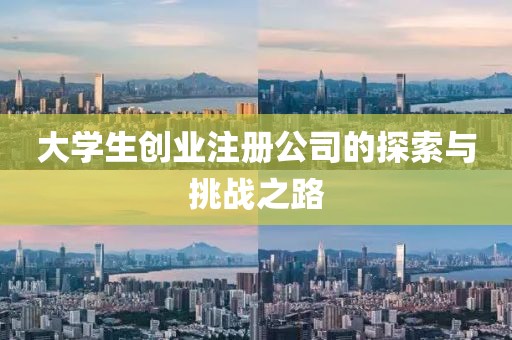 大学生创业注册公司的探索与挑战之路