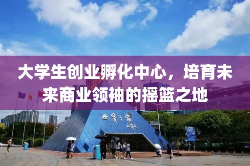 大学生创业孵化中心，培育未来商业领袖的摇篮之地