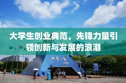 大学生创业典范，先锋力量引领创新与发展的浪潮