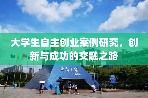 大学生自主创业案例研究，创新与成功的交融之路