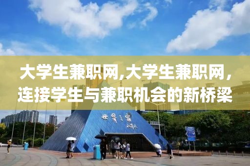 大学生兼职网,大学生兼职网，连接学生与兼职机会的新桥梁