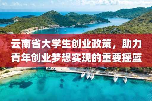 云南省大学生创业政策，助力青年创业梦想实现的重要摇篮