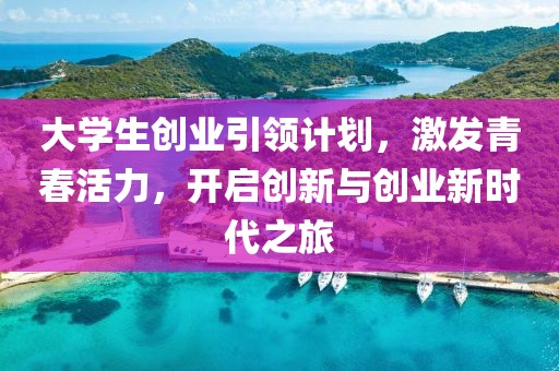 大学生创业引领计划，激发青春活力，开启创新与创业新时代之旅