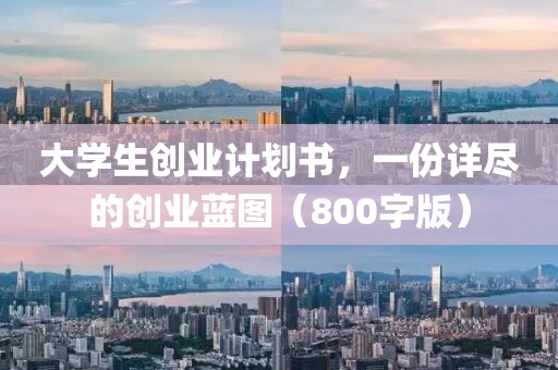 大学生创业计划书，一份详尽的创业蓝图（800字版）