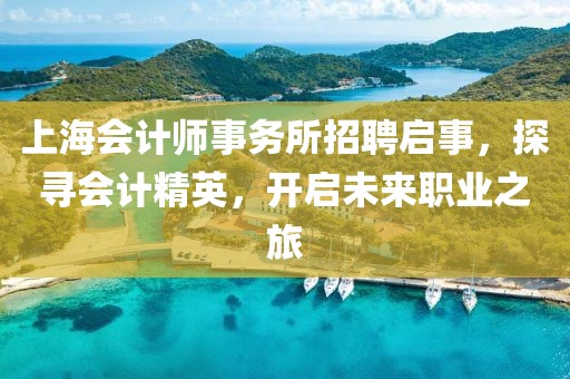 上海会计师事务所招聘启事，探寻会计精英，开启未来职业之旅