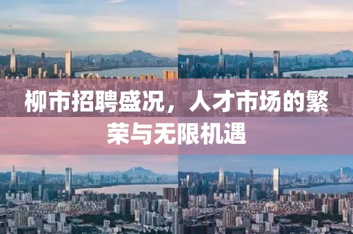 柳市招聘盛况，人才市场的繁荣与无限机遇