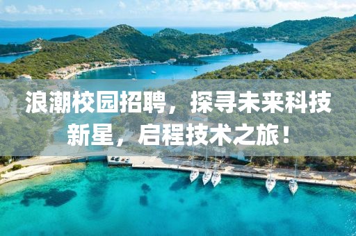 浪潮校园招聘，探寻未来科技新星，启程技术之旅！