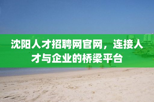 沈阳人才招聘网官网，连接人才与企业的桥梁平台