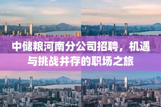 中储粮河南分公司招聘，机遇与挑战并存的职场之旅