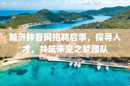 新沂钟吾网招聘启事，探寻人才，共筑未来之梦团队