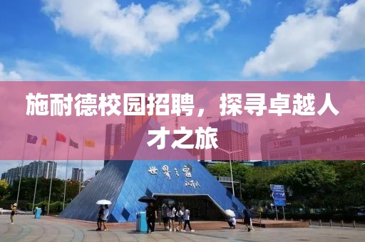 施耐德校园招聘，探寻卓越人才之旅