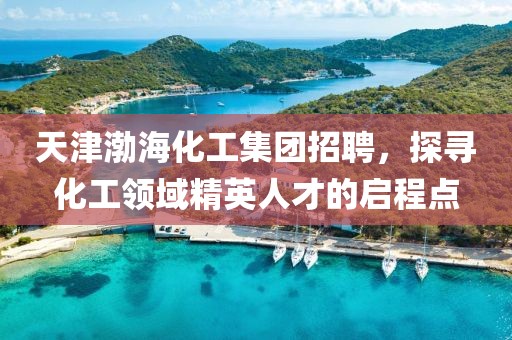 天津渤海化工集团招聘，探寻化工领域精英人才的启程点