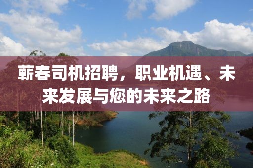 蕲春司机招聘，职业机遇、未来发展与您的未来之路