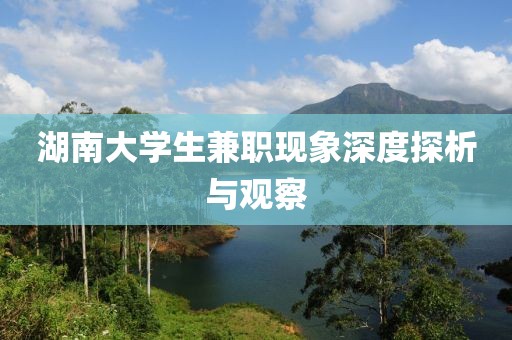 湖南大学生兼职现象深度探析与观察