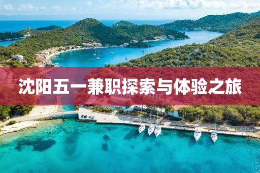 沈阳五一兼职探索与体验之旅