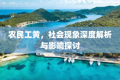 农民工黄，社会现象深度解析与影响探讨