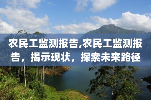 农民工监测报告,农民工监测报告，揭示现状，探索未来路径